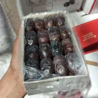 خرما فروشی|خوردنی و آشامیدنی|مهرستان, |دیوار