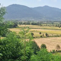 زمین روستایی به مساحت ۱۰۰۰ متر|فروش زمین و ملک کلنگی|توتکابن, |دیوار