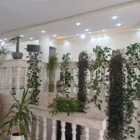 فروش خانه ویلایی شیک یاسوج|فروش خانه و ویلا|یاسوج, |دیوار