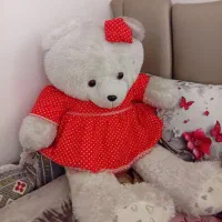 عروسک|اسباب‌‌بازی|مرودشت, ثبت احوال|دیوار