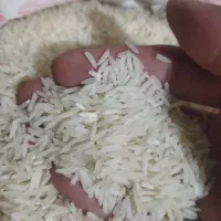 برنج هاشمی مروارید|خوردنی و آشامیدنی|ری, ملک‌آباد|دیوار