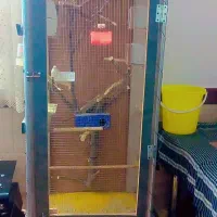 قفس چوبی بزرگ مناسب طوطی