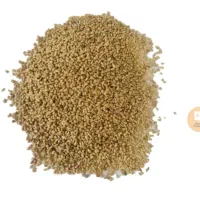 بزر یونجه|گل و گیاه طبیعی|الوند, |دیوار
