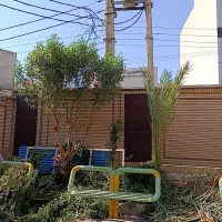 هرس تخصصی درختان و طراحی فضای سبز مدارس و ادارات|خدمات باغبانی و درختکاری|دزفول, |دیوار