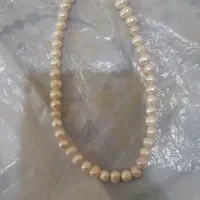 گردنبند مروارید اصل هست|بدلیجات|شهریار, شهرک مصطفی خمینی|دیوار