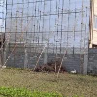 ایزوگام کار حرفه ای