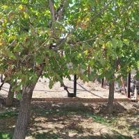 ۳۳۶ متر زمین  ویلایی  با ۶۰ متر جواز