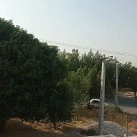زمین-باغ-شهری-1000متری