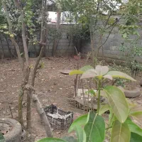 ۳۰۰متر زمین ۶۸متر بنا قیمت ۳ملیارد|فروش خانه و ویلا|نشتارود, |دیوار