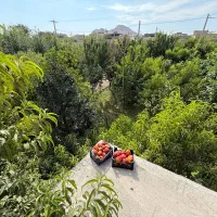 فروش ویلایی ب۴ شمالی شیک ۳ خواب