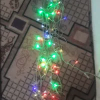 رقص نور سالم