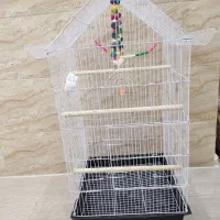 فروش قفس