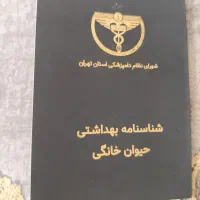 سگ پامر 3ماهه رنگ کاراملی بسیار بازیگوش|سگ|ورامین, ورامین|دیوار