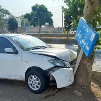 ساینا تصادفی