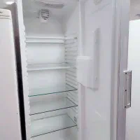 یک جفت یخچال اصلی