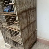 جفت کن آهنی درجه یک|لوازم جانبی حیوانات|تهران, فلسطین (میدان انقلاب)|دیوار