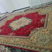 فرش ۱۲ متری صحیح و سالم ۷۰۰ شانه