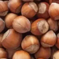 فندوق  درجه یک ارگانیک ۹۰۰تومان