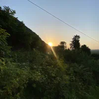 فروش زمین مسکونی لیالستان بالا کوچه امام رضا|فروش زمین و ملک کلنگی|لاهیجان, لیالستان|دیوار