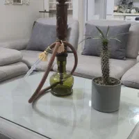 ۵۰ درصد تخفیف قلیون چوب سرخ طرح صورت