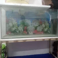 آکواریوم کاملا سالم