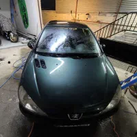 پژو 206 81 تیپ فرانسه  دو در حد خشک|خودرو سواری و وانت|گرمدره, |دیوار