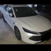 بی وای دی چین ال پلاگین هیبرید تیگاردی