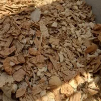 نان خشک دامی