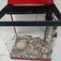 آکواریوم درحد|ماهی|اردبیل, |دیوار