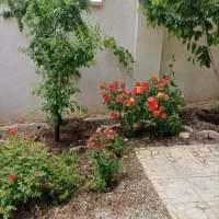 ویلا-350-متری-ابسرد-زان