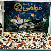 اکواریوم همکامل و هم مجزا