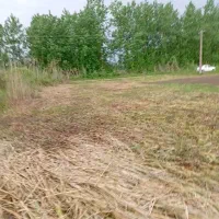 زمین-فروشی-300متر