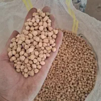 نخود سایز ۶و۷