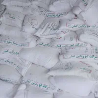 گچ و موزائیک