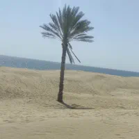 تاکسی گردشگری|تور و چارتر|چابهار, |دیوار