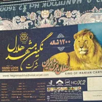 فرش 9 متری|فرش|شهریار, شهریار|دیوار