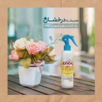 تمیز کننده سطوح|لوازم نظافت|گرگان, |دیوار