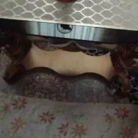 تخت و مبل و کمد احدا عروس داماد رایگان|مبلمان خانگی و میز عسلی|فردیس, شهرک وحدت|دیوار