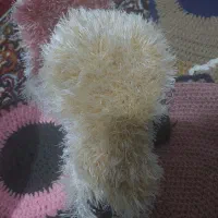 اسکاج و لیف|لوازم حمام|محمدیه-قزوین, |دیوار