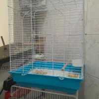 قفس پرنده