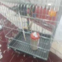 فروش قفس ۱۰۳۲ کلبه ایومعمولی نو درجه یک قیمت مناسب