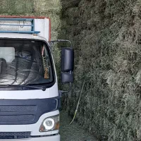 یونجه انباری چین ۲|خدمات باغبانی و درختکاری|زنجان, |دیوار