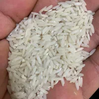برنج هاشمی اصل گیلان