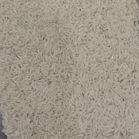 برنج طارم هاشمی (کشت دوم)(۱۴۰۴)