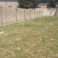 دو زمین هزارمترکنارهم شمال اتوبان کردان فروش/تهاتر|فروش زمین و ملک کلنگی|کوهسار (البرز), |دیوار