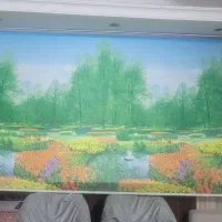 پرده اوپن|پرده، رانر، رومیزی|شیراز, باغ تخت|دیوار