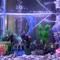 اکواریوم باماهی و تزئینات