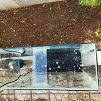 آکواریوم|ماهی|تربت‌حیدریه, ۴۵ متری|دیوار