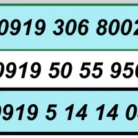 0919.5051541|سیمکارت|تهران, تهرانسر مرکزی|دیوار