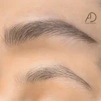 درخواست مدل میکروبلیدینگ|خدمات آرایشگری و زیبایی|مشهد, هنرستان|دیوار